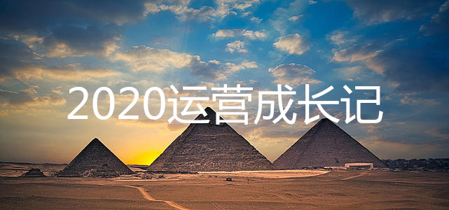 天猫代运营：2020运营成长记